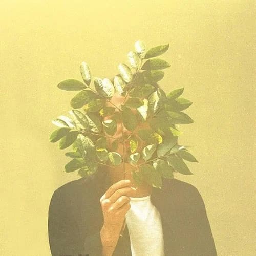 Animate Album Cover